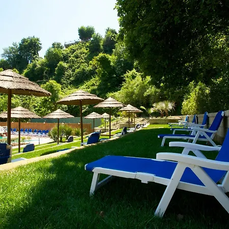 Agave 4*