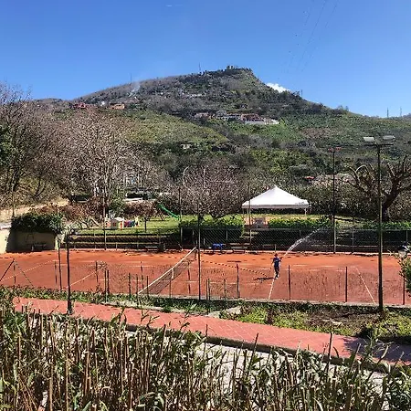 Agave Pozzuoli