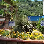 Agave 4*