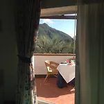 Agave Поццуоли