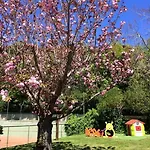 Agave Отель Поццуоли