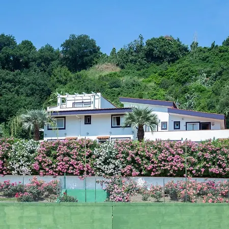 Agave 호텔 포츠올리