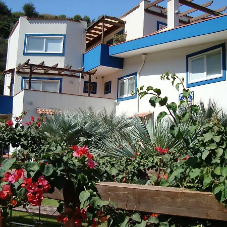 Agave
