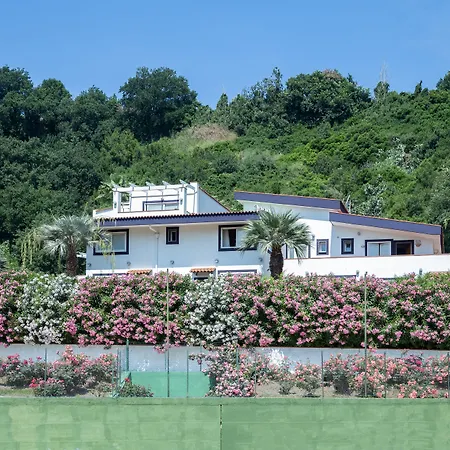 Agave 호텔 포츠올리